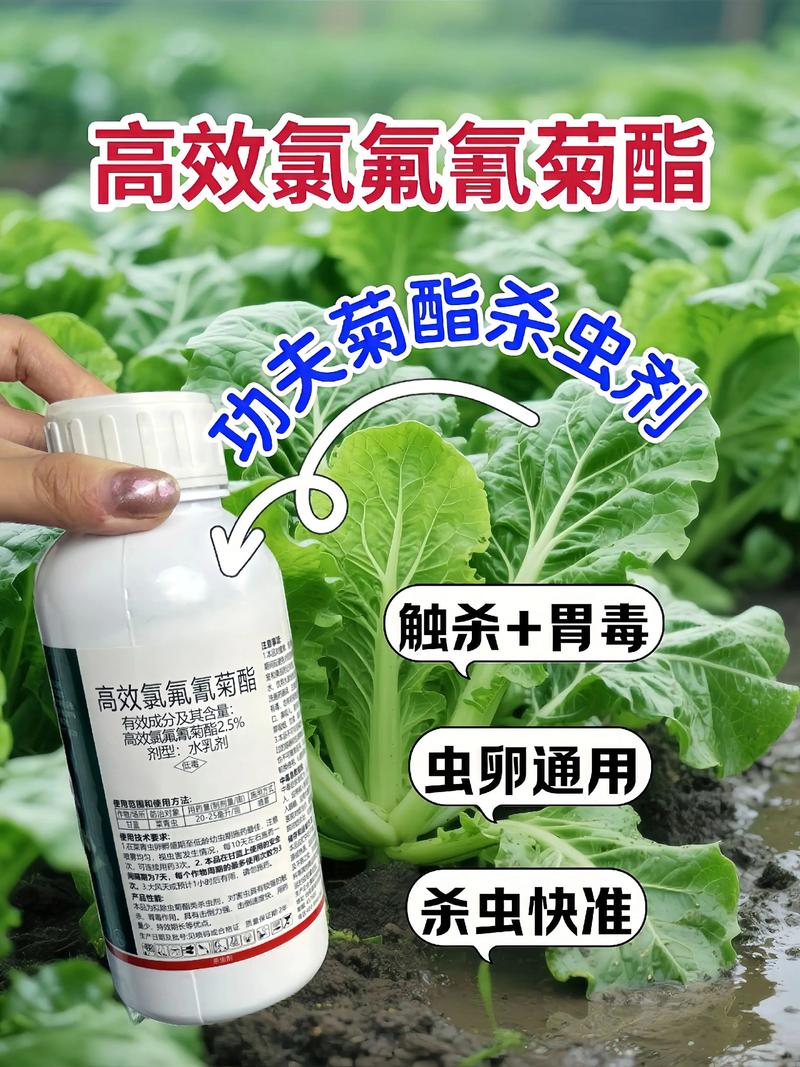 林芝代生中心:农药对供卵代生妈妈的危害